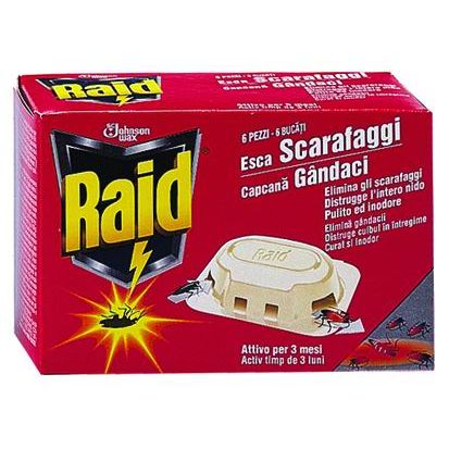 raid bait beatles 6 unit